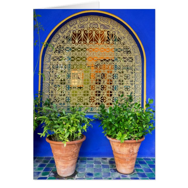 Potted Plants At Garden (Front)