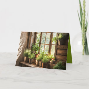 Potted Plants In A Sunny Window Card