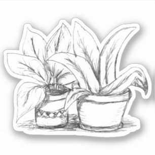 Potted Plants Sketch