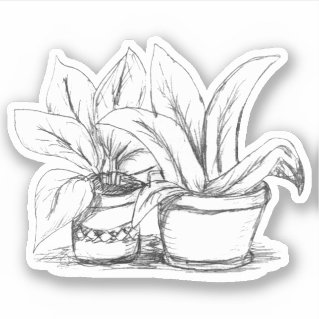 Potted Plants Sketch (Front)