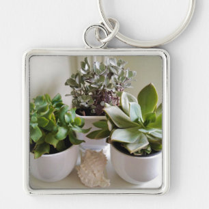 Potted Succulents with Seashell Keychain