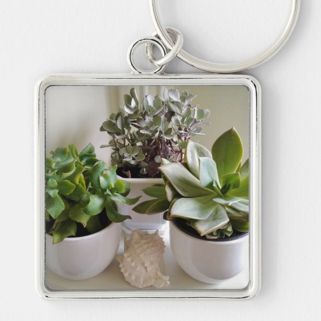 Potted Succulents with Seashell Keychain (Front)