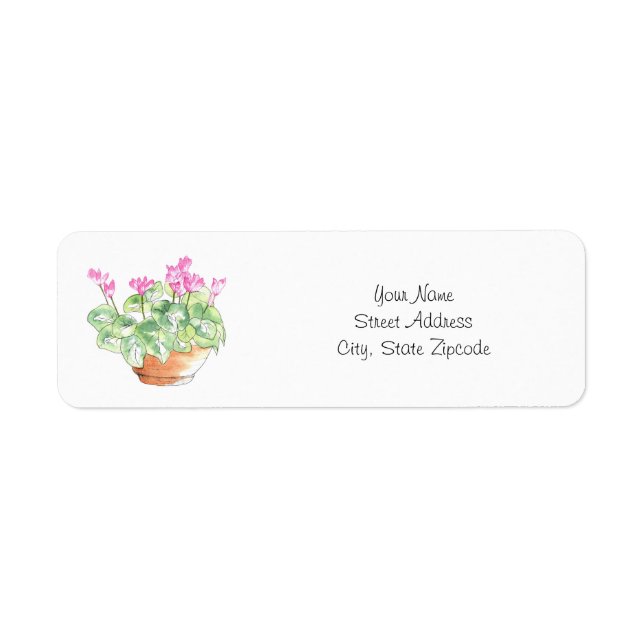 Potted Watercolor Cyclamen (Front)