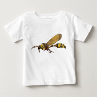 Potter Wasp
