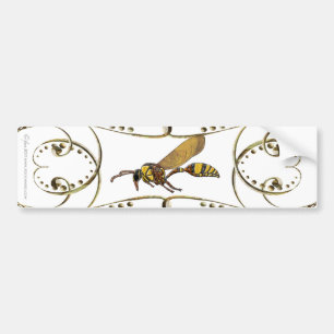 Potter Wasp Bumper Sticker
