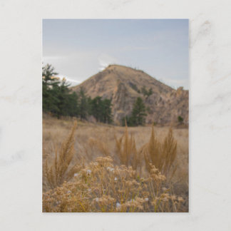 Poudre Canyon Colorado Carte Postale
