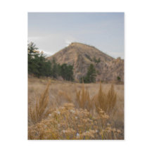 Poudre Canyon Colorado Carte Postale