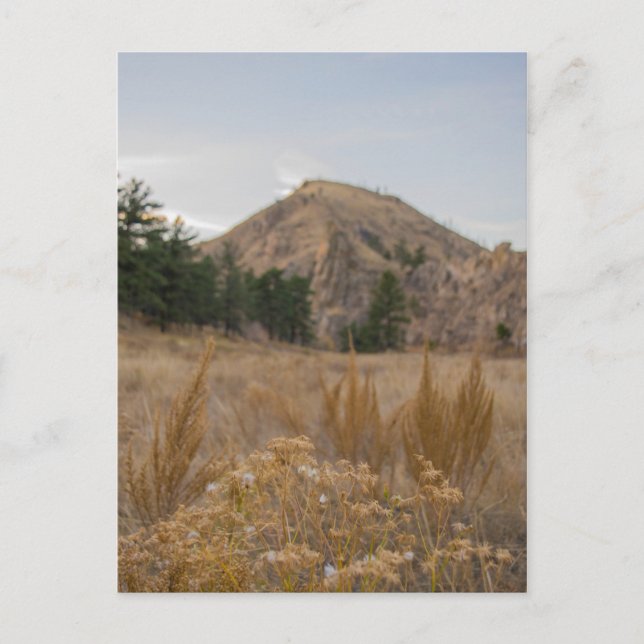Poudre Canyon Colorado Carte Postale (Devant)