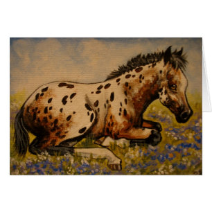 Poulain d'Appaloosa