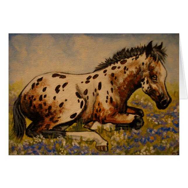 Poulain d'Appaloosa (Devant horizontal)