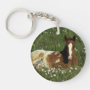 Poulain d'Appaloosa fixant en fleurs