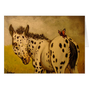 Poulain et papillon d'Appaloosa
