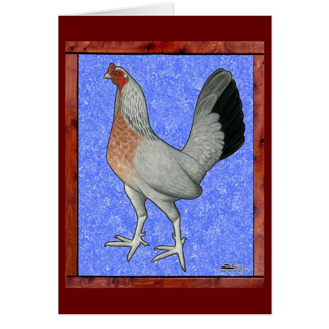 Poule Reine encadrée (Devant)