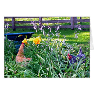 Poules dans le jardin