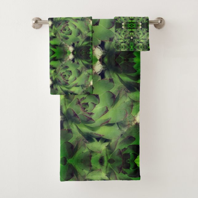 Poules Et Poules Succulentes Abstraites (En situation)