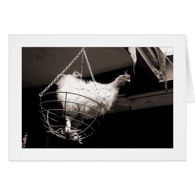 Poulet dans le panier (Devant horizontal)