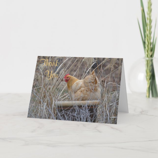 Poulet Dans Un Carte de remerciements De Pot (Devant)
