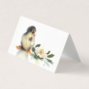 poulet drôle · Cartes de Visite Pliées
