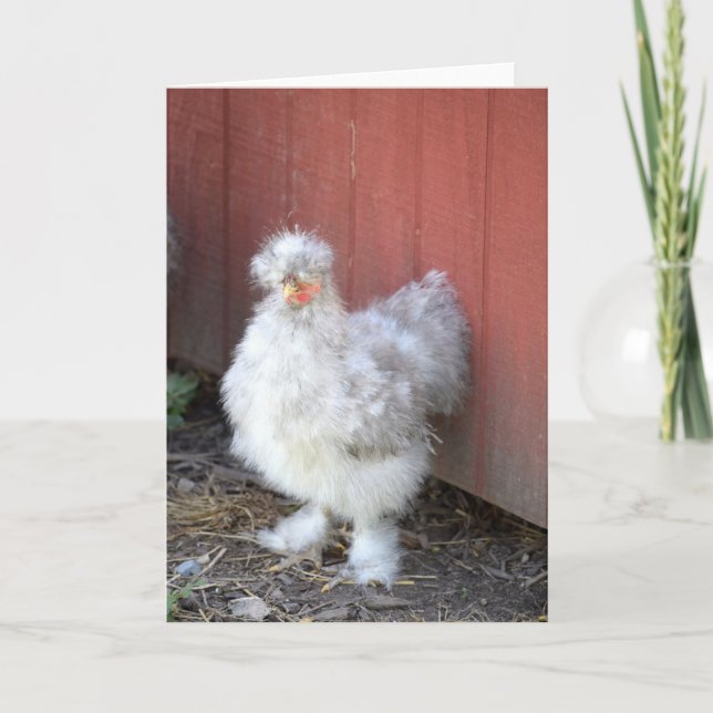 Poulet fourré - Carte de voeux humoristique (Devant)