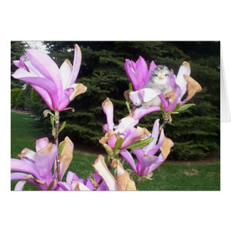 poulet mignon en fleur