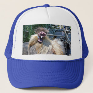 Poulet moche, Casquette