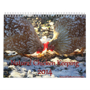 Poulet naturel gardant le calendrier 2014 + Bouts
