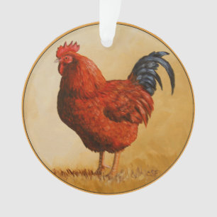 Poulet rouge du Rhode Island