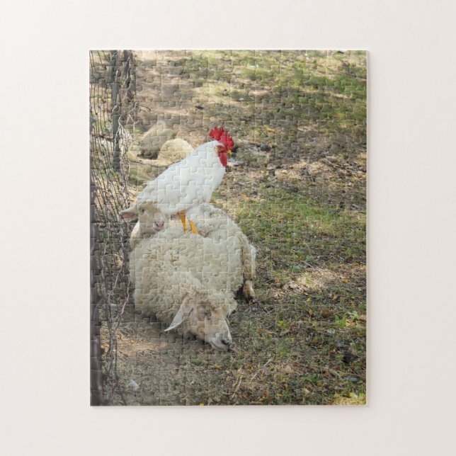 Poulet se reposant sur un puzzle de moutons (Vertical)