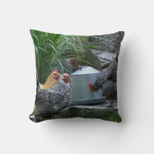 Poulets Au Coussin Glacière D'Eau