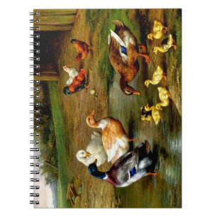 Poulets, Canards Et Canards Au Carnet Agricole