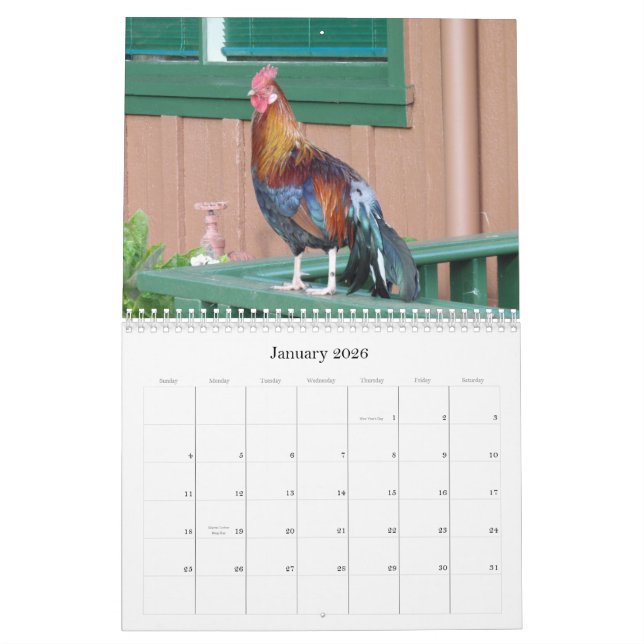 Poulets de jungle de calendrier de Kauai 2010 (Jan 2026)