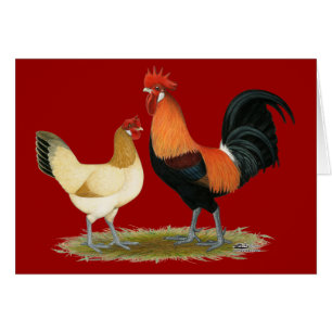 Poulets de Penedesenca