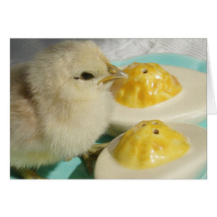 Poulets et oeufs déversés 2