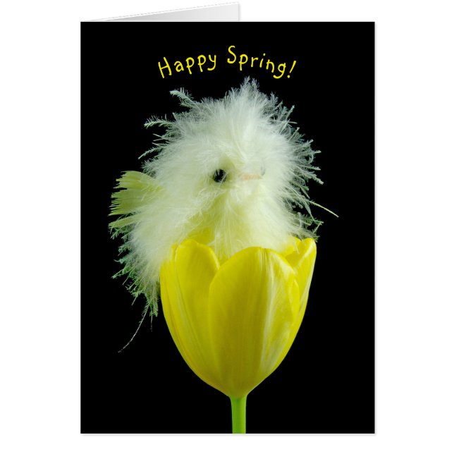 Poulette de bébé en tulipe jaune (Devant)