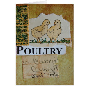 Poultry Collage