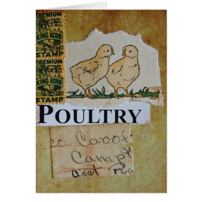Poultry Collage (Front)