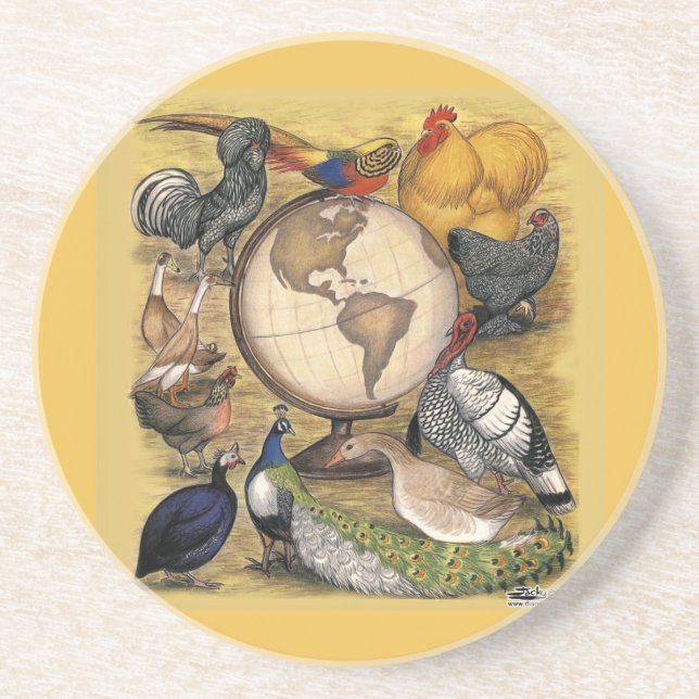 Poultry of the World Coaster (Front)