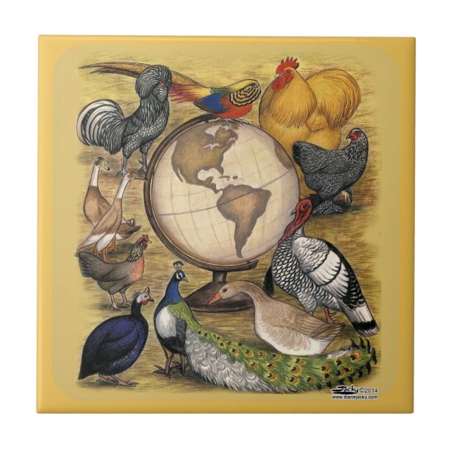 Poultry of the World Tile (Front)