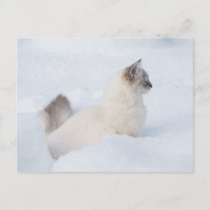 Poupée dans la carte de poste de neige
