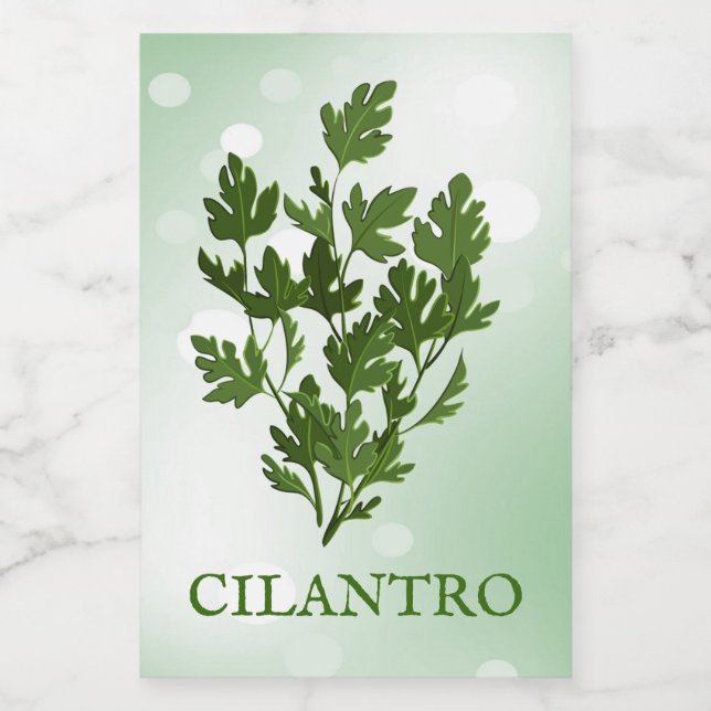 Pour Bocaux Étiquette Herbes Cilantro (Étiquettes simples)