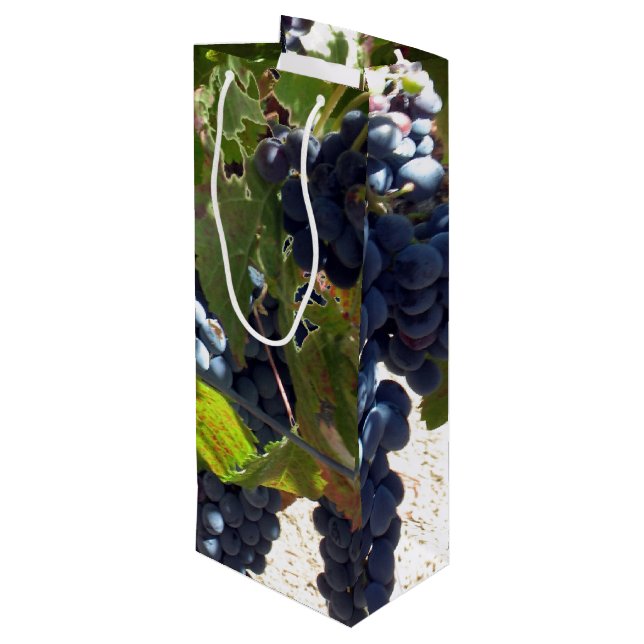 Pour Bouteille Sac cadeau - Raisins sur la vigne (Dos Angle)