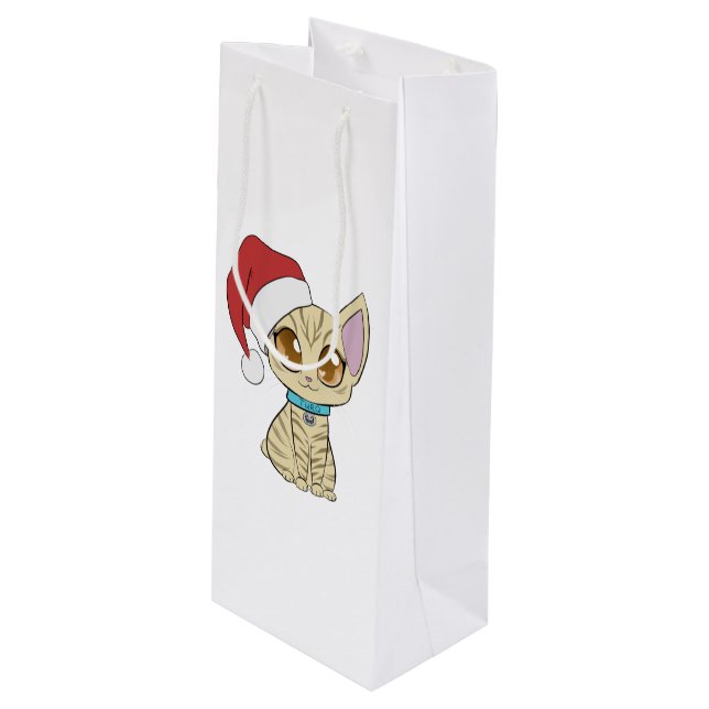 Pour Bouteille Sac cadeau Turq (Devant Angle)