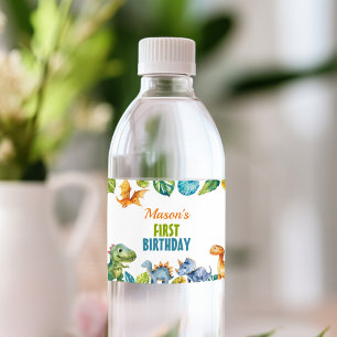 Pour Bouteilles D'eau Cute Dinosaures Anniversaire Étiquette de bouteill