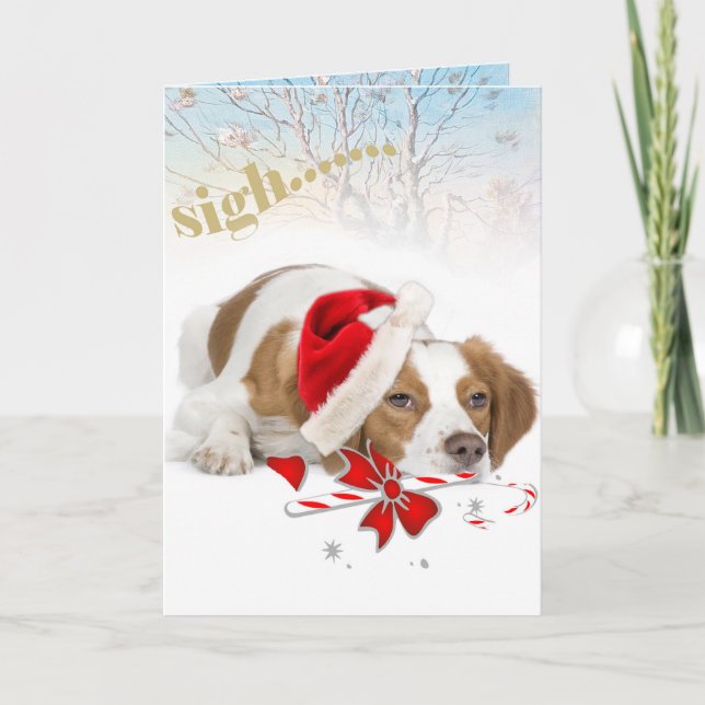 Pour Fêtes Annuelles Brittany Père Noël Prend Des Cartes Aussi Longues (Devant)