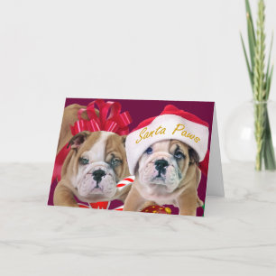 Pour Fêtes Annuelles Bulldog Anglais Dans Les Cartes D'Attraction De No