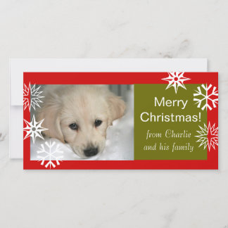 Pour Fêtes Annuelles Cartes de Noël avec chien Flocons de neige