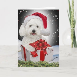 Pour Fêtes Annuelles Cartes de Noël Bichon