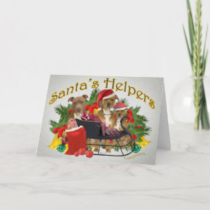 Pour Fêtes Annuelles Cartes de Noël d'aides de Pitbull Père Noël