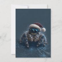 Cartes de Noël d'araignée sauteuse foncée