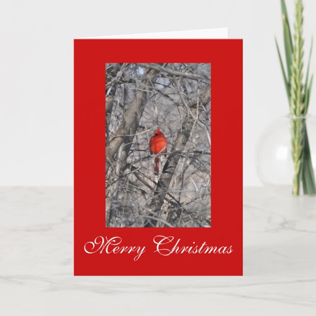 Pour Fêtes Annuelles Cartes de Noël du cardinal Janz (Devant)